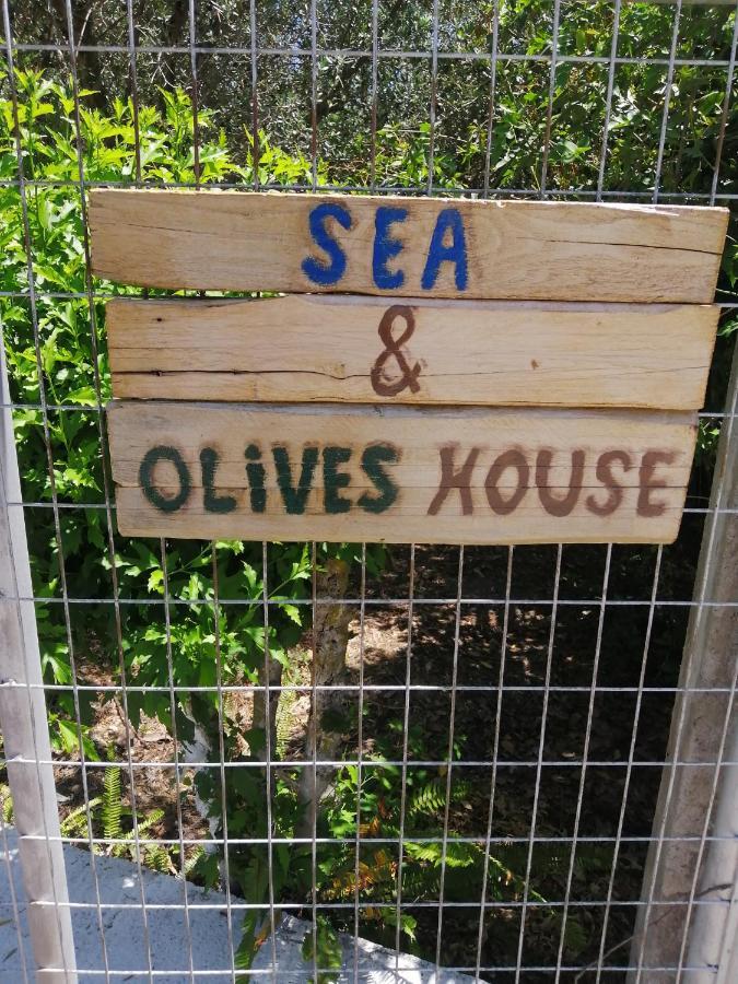 Sea & Olives House Lixouri Exterior foto