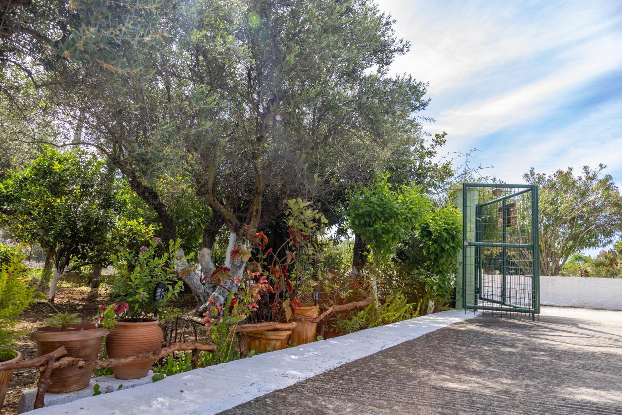 Sea & Olives House Lixouri Exterior foto